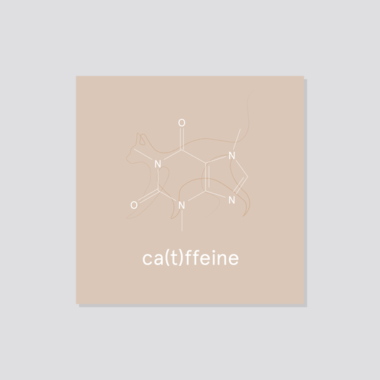 Poster „ca(t)ffeine“ Marli Designstudio